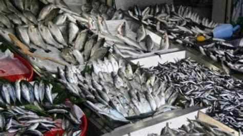Istanbul da balık fiyatları
